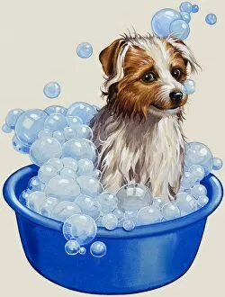 The Blue Collection: Dog being washed