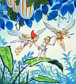 The Blue Collection: Fairies